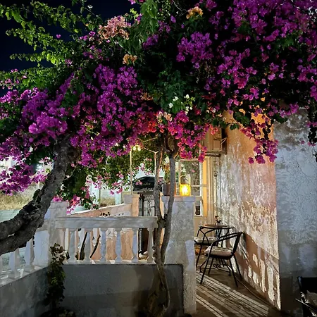 Bougainvillea Nest Panteli, Leros *